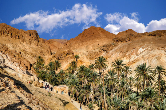 Comment aller de Tozeur à Djerba ?