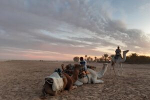 Découvrez le Sud Tunisien