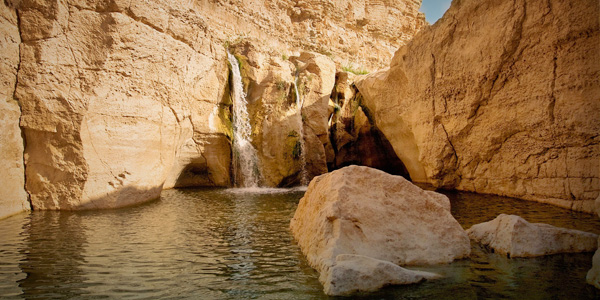 excursion au départ de Djerba