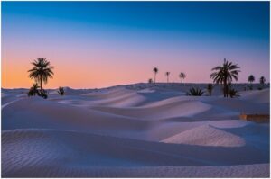 excursion au départ de Djerba