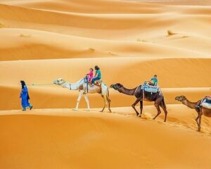 Excursion au départ de Djerba