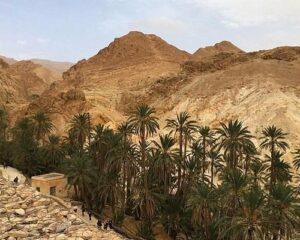 Excursion à Tozeur au départ de Djerba