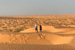 Excursion d'une journée à Djerba