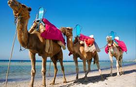 Guide de Djerba